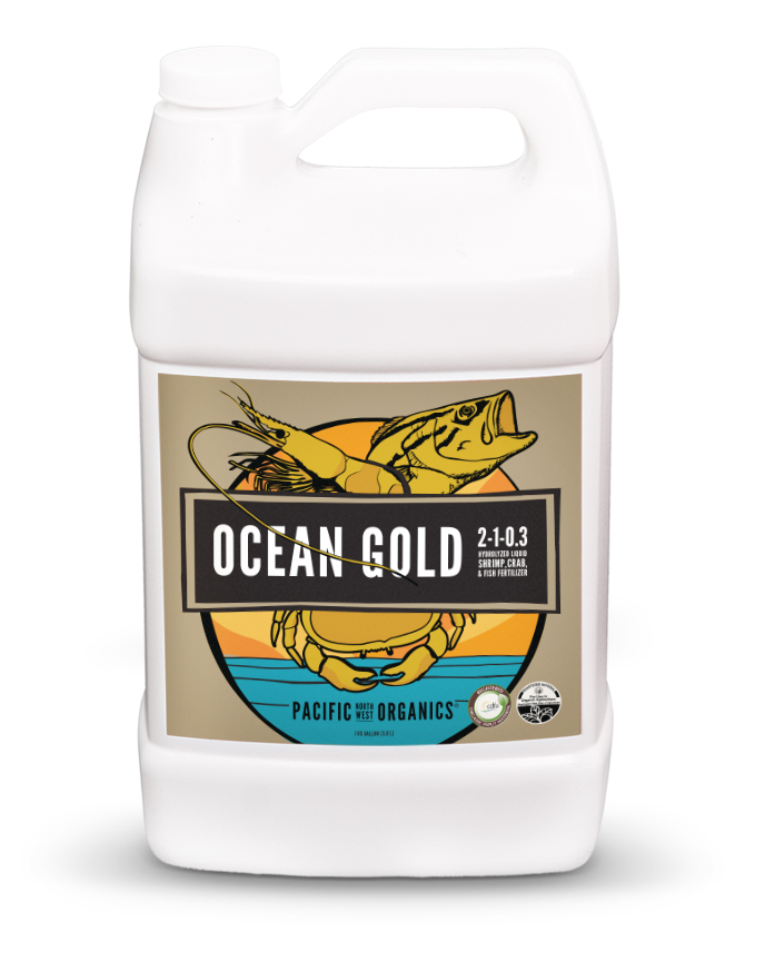 OCEAN GOLD